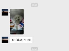 -达爱动物医院·犬猫分区·CT·复杂眼科(远洋山水分院)