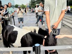 -深圳湾万象城(南山店)