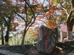 -莫干山风景区