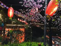 -枇杷园食为鲜火锅(南山店)