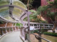 -香港大学