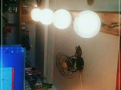 -参差咖啡(水果湖公园店)