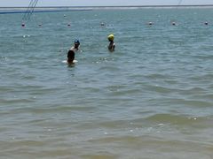 -碧海金沙