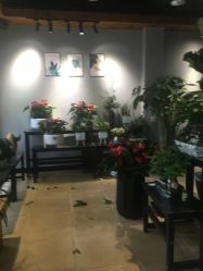 -花落谁家婚礼策划(永安街店)