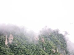 -老界岭旅游度假区