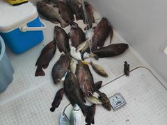 -小猫钓鱼海钓俱乐部(椰梦长廊店)