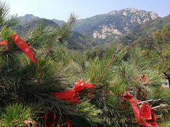 -泰山风景名胜区