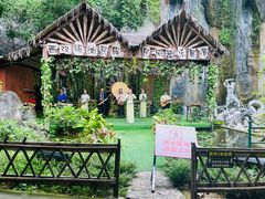 -西双版纳原始森林公园