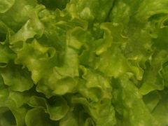 -韩时烤肉(丰科万达广场店)