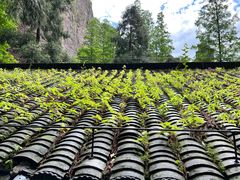 -雁荡山风景名胜区