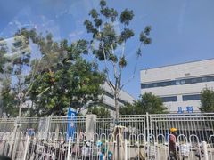 -首都医科大学附属北京天坛医院