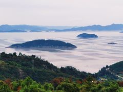 -花竹村