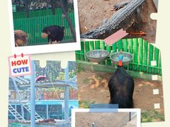 -西霞口神雕山野生动物世界