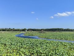 -焦岗湖旅游度假区