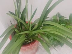 -麦悠悠·SPA·推拿(太阳山路店)