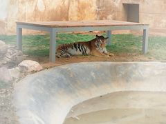 -昆明动物园