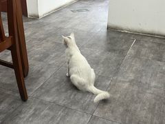 -岳合轩老北京涮肉