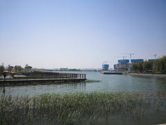 -郑东新区龙湖公共艺术中心