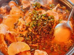 -探鱼·鲜青椒爽麻烤鱼(广州欣荣广场店)
