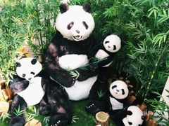 -济州岛泰迪熊博物馆