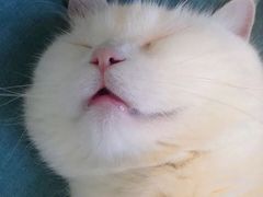 -中公教育考公考编·专升本·考研(河西校区)