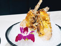 -海月轩海鲜豆捞(紫金塔店)