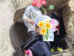 -北京凤凰岭