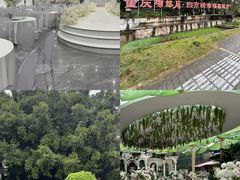 -陶然居·重庆菜(生态园店)