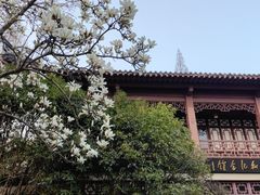 -郑和公园