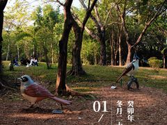 -深圳湾公园(南山区)