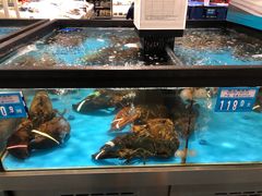 -麦德龙(郑东店)