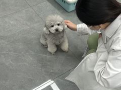 -贝利宠物医院·骨科·眼科·肿瘤转诊中心(南坪诊疗中心)