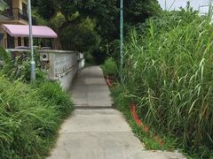 iphone_upload_pic-南丫岛