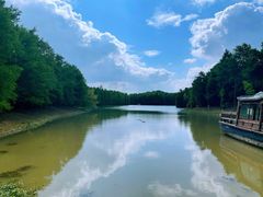 -上海海湾国家森林公园