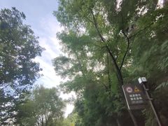 -棋盘山风景区