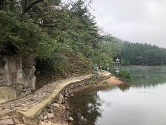 -四明山国家森林公园