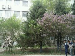 -黑龙江大学