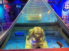 -大连圣亚海洋世界