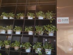 -吉布鲁牛排海鲜自助(温江合生汇店)