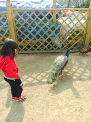 -萌宠亲子动物乐园(槐房万达店)