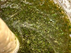 -南记粉面(銅鑼灣中心店)