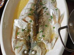 太湖白鱼-王四酒家苏帮菜馆(观前店)