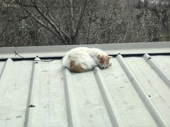 -韵之源农家菜(北京1店)