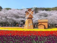 -苏州上方山国家森林公园