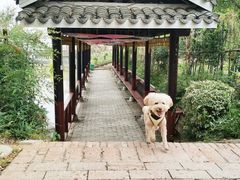 -武汉紫薇都市田园