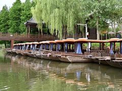 -溱湖国家湿地公园