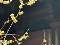 -钱王祠