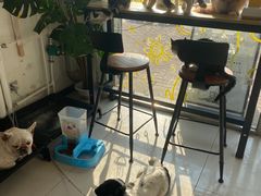 -平行世界·猫咖(首经贸店)