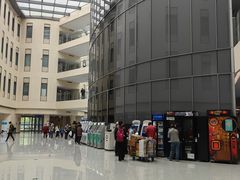 -首都医科大学附属北京天坛医院