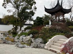 -上海滨江森林公园